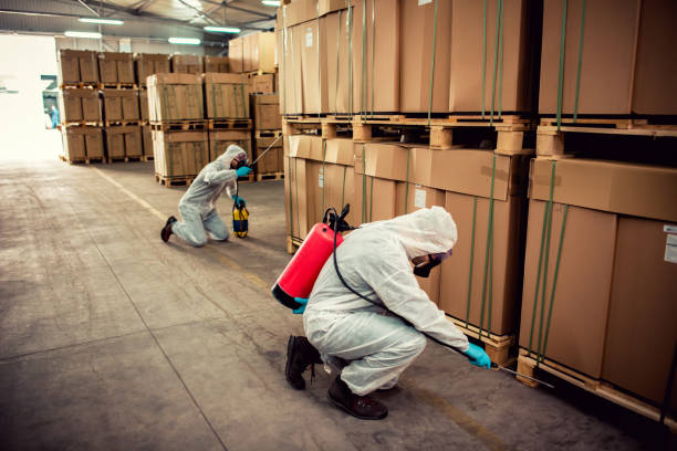 Professional Pest Control in Mexia, TX