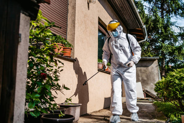 Flea Control Services in Mexia, TX