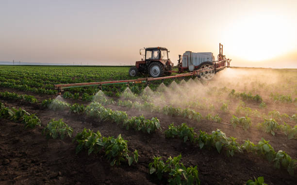 Best Wildlife Control Services  in Mexia, TX