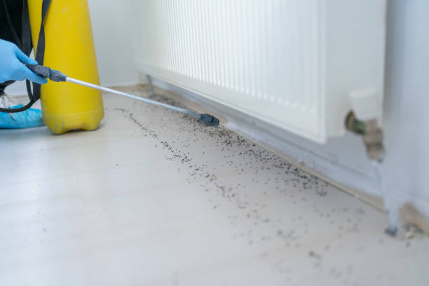 Best Best Pest Control Companies  in Mexia, TX