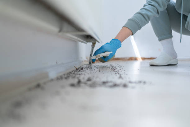Best Affordable Pest Control Services  in Mexia, TX