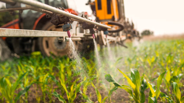 Best Ant Control Services  in Mexia, TX